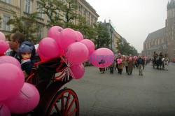 Reporter Poland 2006