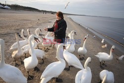 Reporter Poland 2008