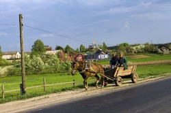 Reporter Poland 2008