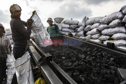 Produkcja węgla drzewnego w Egipcie - Nur Photo