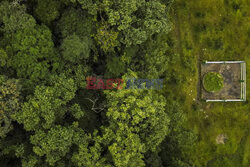 Święte lasy w Indiach - AP