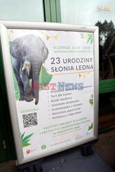 23. urodziny słonia Leona w warszawskim ZOO