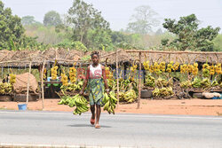Targ z owocami na Wybrzeżu Kości Słoniowej