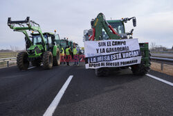 Protest rolników w Hiszpanii