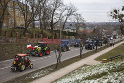 Ogólnopolski protest rolników