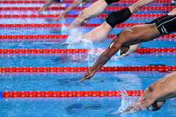 MŚ w pływaniu w Doha
