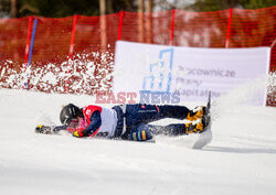 Puchar świata w snowboardzie w Krynicy