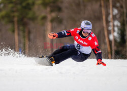 Puchar świata w snowboardzie w Krynicy