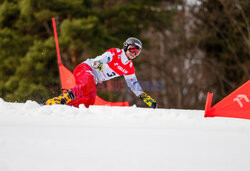 Puchar świata w snowboardzie w Krynicy