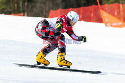 Puchar świata w snowboardzie w Krynicy