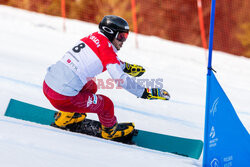 Puchar świata w snowboardzie w Krynicy