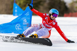 Puchar świata w snowboardzie w Krynicy