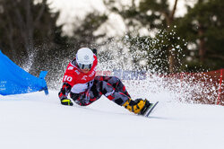 Puchar świata w snowboardzie w Krynicy