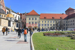 Wiosna na Wawelu