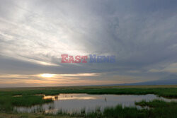 Kenia, Park Narodowy Amboseli