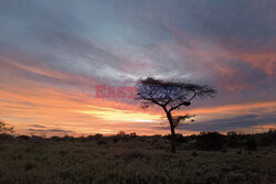 Kenia, Park Narodowy Amboseli