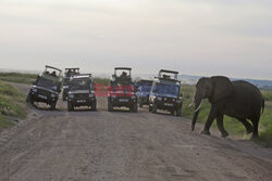 Kenia, Park Narodowy Amboseli