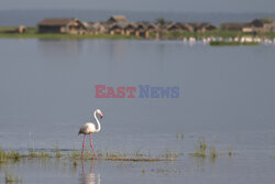 Kenia, Park Narodowy Amboseli