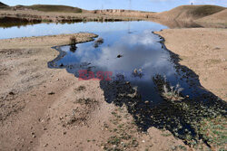 Grunty rolne w Iraku skażone ropą