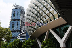 Zieleń w Singapurze - Redux