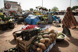 Zbiory truskawek w Burkina Faso