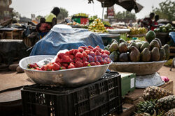 Zbiory truskawek w Burkina Faso