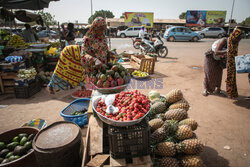 Zbiory truskawek w Burkina Faso