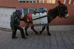 Transport wody na osłach w Meksyku