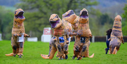 Wyścig dinozaurów w Taunton