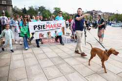 Psiemarsz z Łukaszem Gibałą w Krakowie