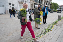 Tulipany dla Marii Kaczynskiej