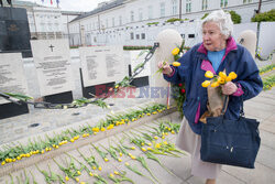 Tulipany dla Marii Kaczynskiej