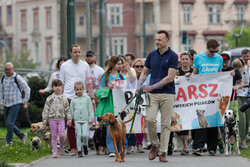 Psiemarsz z Łukaszem Gibałą w Krakowie