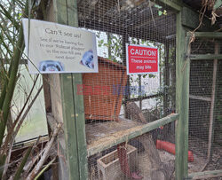 Opuszczone zoo