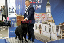 Wystawa psów w Zagrzebiu