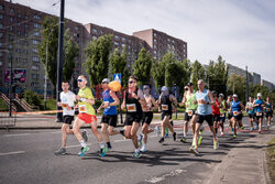 DOZ Maraton LODZ 2024