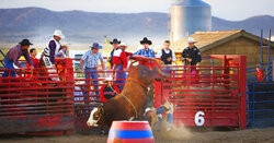 Rodeo w Fort Worth