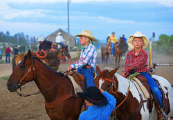 Rodeo w Fort Worth