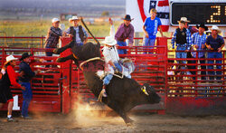 Rodeo w Fort Worth