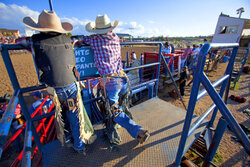 Rodeo w Fort Worth