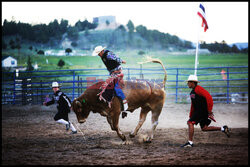 Rodeo w Fort Worth