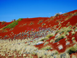 Dolina Sossusvlei w Namibii