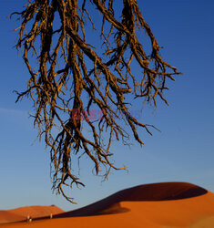 Dolina Sossusvlei w Namibii