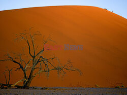 Dolina Sossusvlei w Namibii