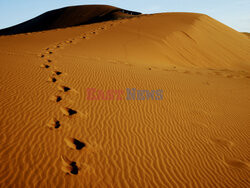 Dolina Sossusvlei w Namibii