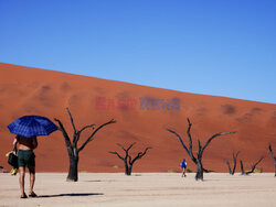 Dolina Sossusvlei w Namibii