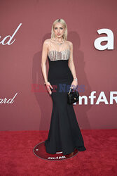 Cannes 2024 - amfAR Gala