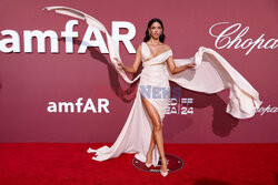 Cannes 2024 - amfAR Gala