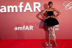 Cannes 2024 - amfAR Gala