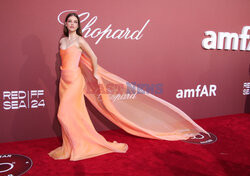 Cannes 2024 - amfAR Gala